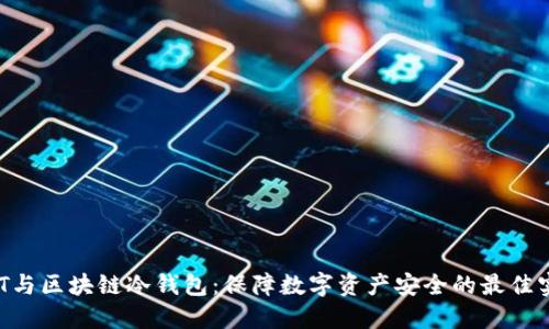 NFT与区块链冷钱包：保障数字资产安全的最佳实践