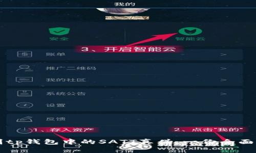 辨别tp钱包中的SATT真伪：一份全面指南