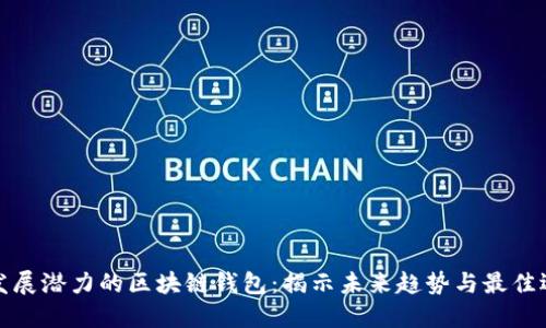 具发展潜力的区块链钱包：揭示未来趋势与最佳选择