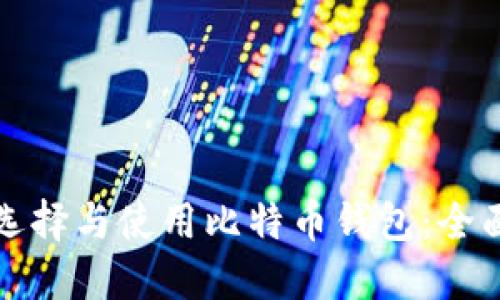 如何选择与使用比特币钱包：全面指南