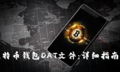 如何打开比特币钱包DAT文