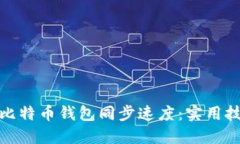 如何加快比特币钱包同步