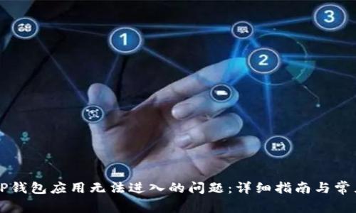 如何解决TP钱包应用无法进入的问题：详细指南与常见故障排查