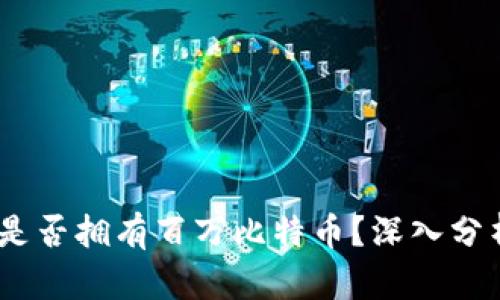 BM钱包是否拥有百万比特币？深入分析与解读