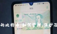 比特币钱包内的比特币：