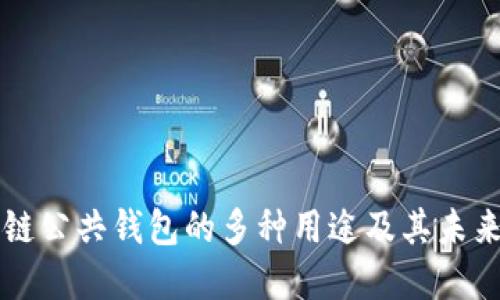 区块链公共钱包的多种用途及其未来发展