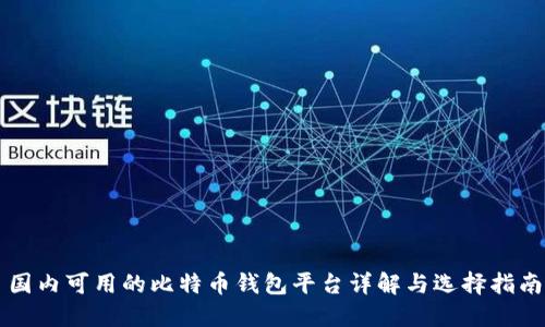 国内可用的比特币钱包平台详解与选择指南