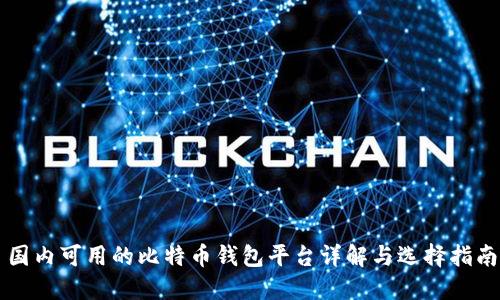 国内可用的比特币钱包平台详解与选择指南