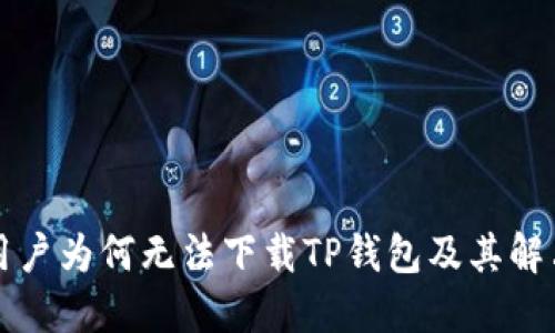 国内用户为何无法下载TP钱包及其解决方案