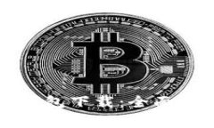红贝壳虚拟币钱包下载：