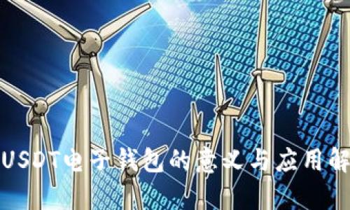 : USDT电子钱包的意义与应用解析