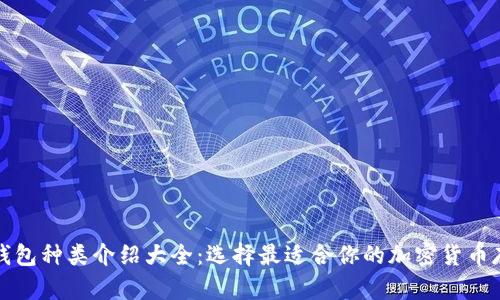 比特币钱包种类介绍大全：选择最适合你的加密货币存储方案