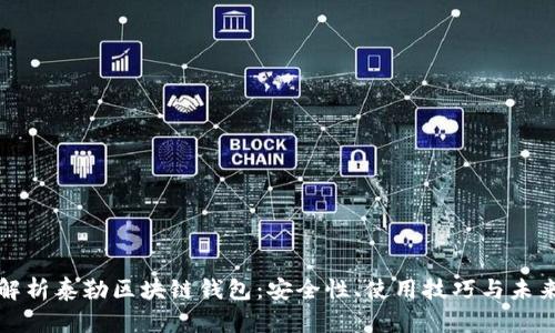 全面解析泰勒区块链钱包：安全性、使用技巧与未来发展