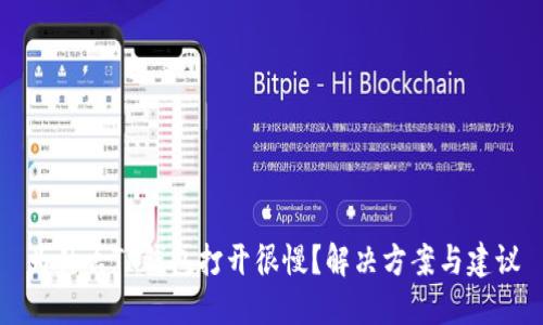 为什么TP钱包打开很慢？解决方案与建议