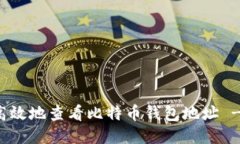 如何安全高效地查看比特