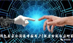TP钱包是否会清退中国用户？深度分析及应对策略