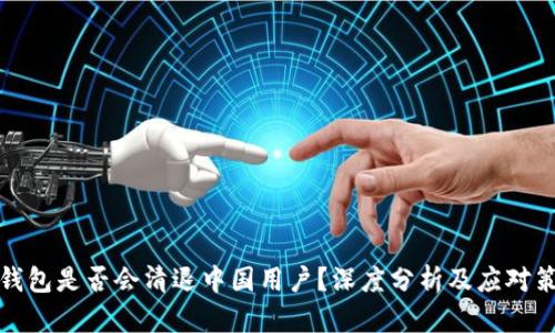 TP钱包是否会清退中国用户？深度分析及应对策略