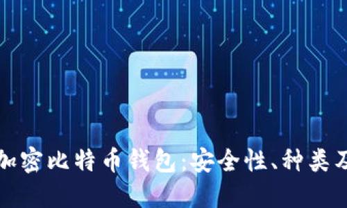 全面了解加密比特币钱包：安全性、种类及使用指南