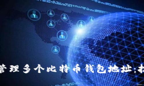 如何安全管理多个比特币钱包地址：技巧与策略