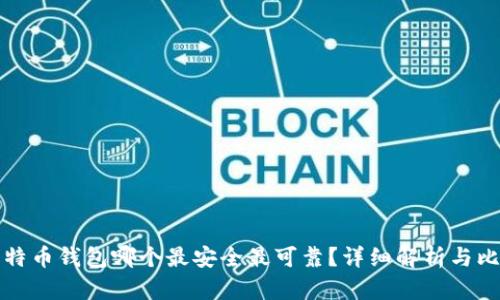 比特币钱包哪个最安全最可靠？详细解析与比较