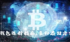 USDT钱包选择指南：多种存
