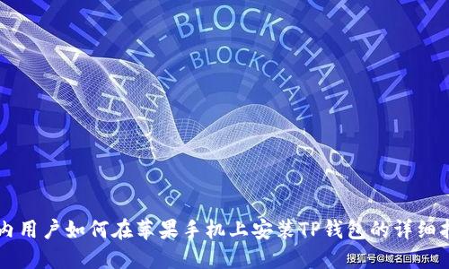 国内用户如何在苹果手机上安装TP钱包的详细指南