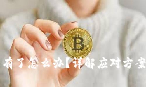 比特派钱包币没有了怎么办？详解应对方案与常见问题解答