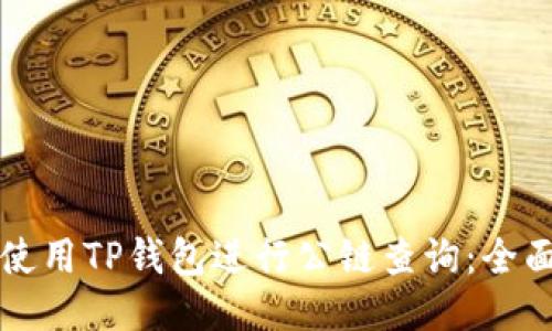 如何使用TP钱包进行公链查询：全面指南