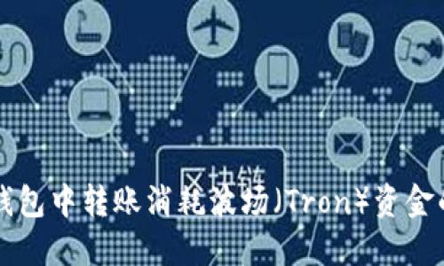 如何在TP钱包中转账消耗波场（Tron）资金的完整指南