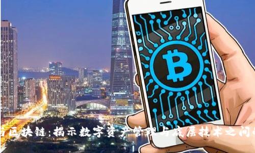 钱包与区块链：揭示数字资产管理与底层技术之间的区别