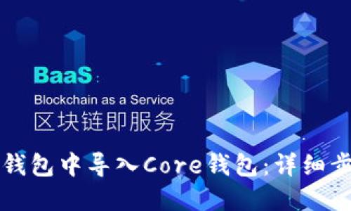 怎样在TP钱包中导入Core钱包：详细步骤和技巧